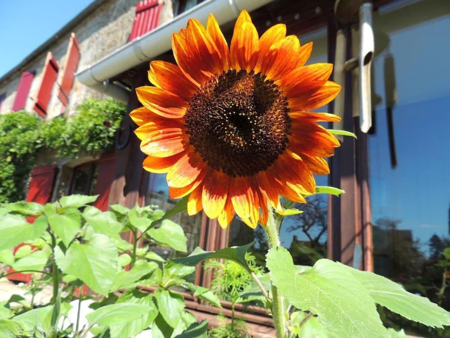 Bienvenue A La Seliniere ! Villa Champ-du-Boult ภายนอก รูปภาพ